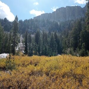 Meet your Posher, Cynthia